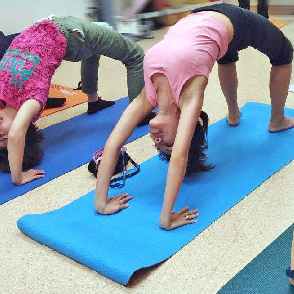 Ashtanga Yoga Instructor Course — Primary Series at MAYI Yoga Academy
