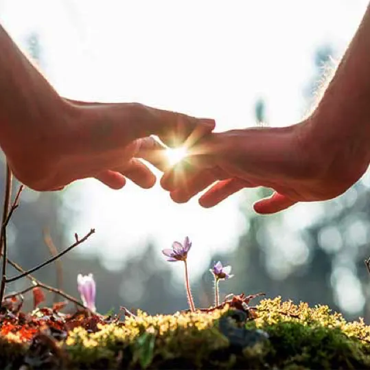 Manipuraka Awakening & Universal Healing Energy workshop at MAYI Yoga Academy