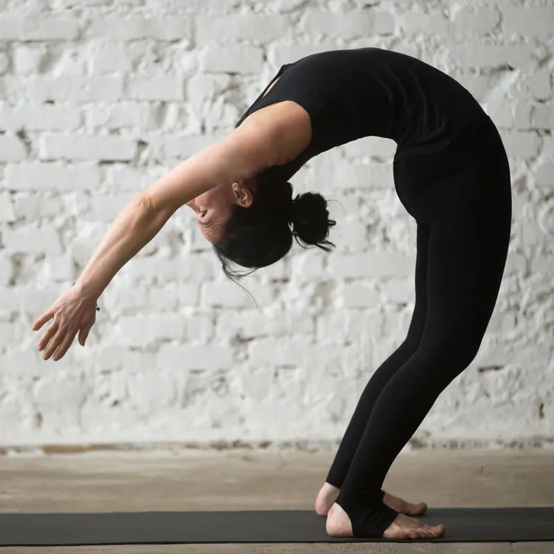 YogaAsana BackBend Series workshop at MAYI Yoga Academy