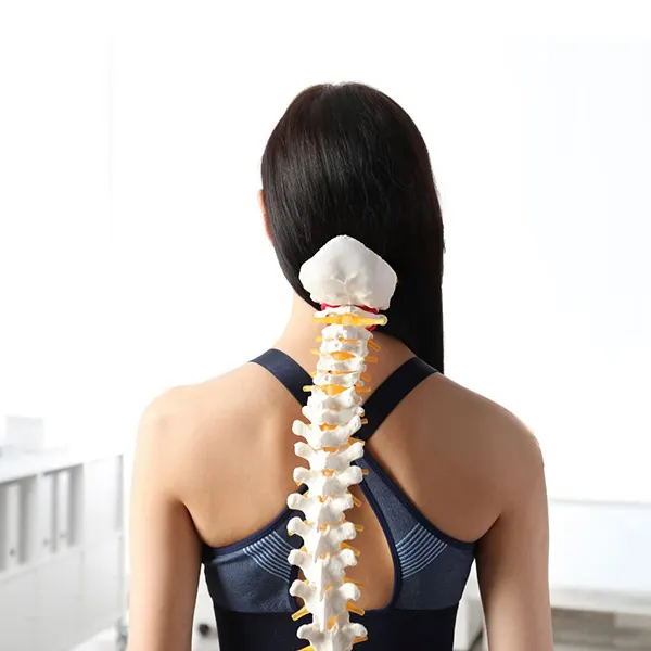 Alignment & Scoliosis Care workshop at MAYI Yoga Academy
