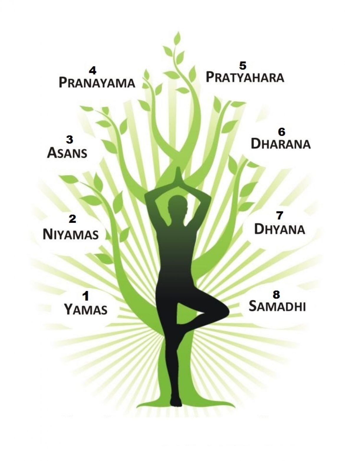 Ashtanga Yoga | Classical Schools of Yoga| Yoga and Kerala