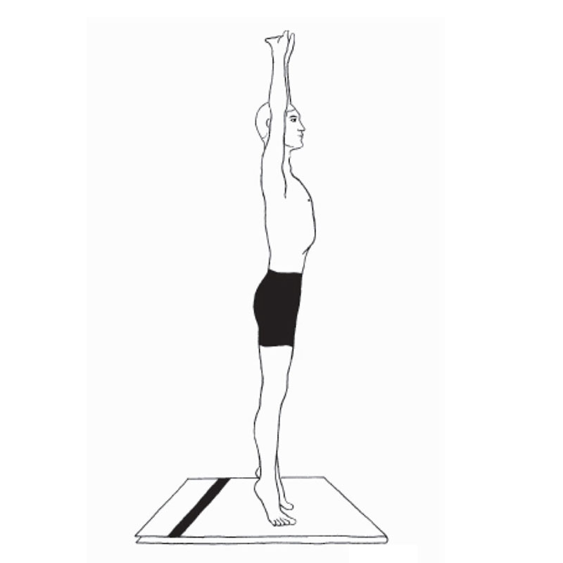 Mountain Pose (Tadasana): Methods to Do, Advantages and Precautions - Tiger  Gym